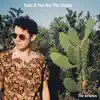 The Jerichos - Even If You Are the Cactus - Single
